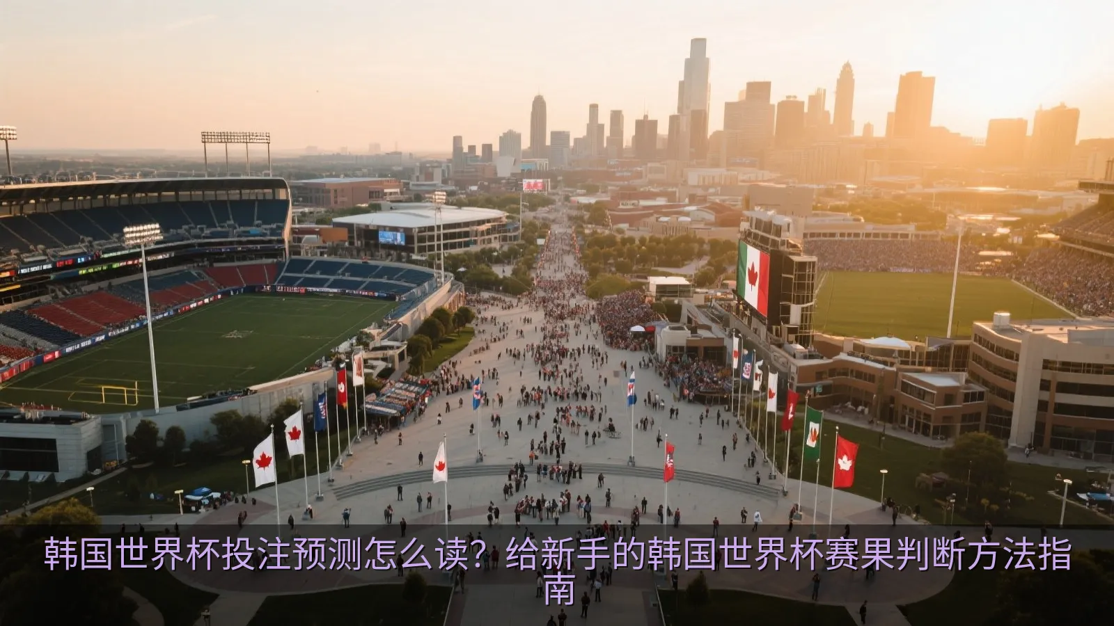 韩国世界杯投注预测怎么读？给新手的韩国世界杯赛果判断方法指南